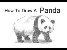 Maybe you would like to learn more about one of these? How To Draw A Panda Youtube