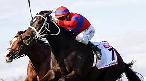 Live video streaming for free and without ads. Superracing Horse Racing News And Thoroughbreds The Advertiser