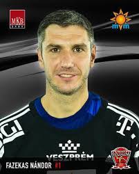 A veszprém játékosai közül senkit nem láthat az éjszakában, letiltottunk minden közösségi programot, mondta dr. Mkb Mvm Veszprem Jatekosok 2013 2014 Telekom Veszprem