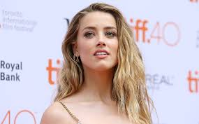 Check spelling or type a new query. Amber Heard Net Worth 2020 How Much Is Amber Heard Worth