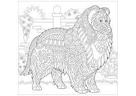 Nouveau 25 coloriage a imprimer mandala chien classic work. Colley A Colorier Chiens Coloriages Difficiles Pour Adultes
