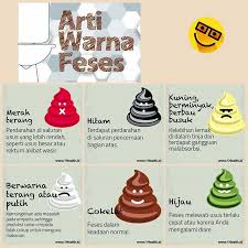 Psp layar blank hitam sedangkan lampu powernya nyala warna hijaupada kasus seperti ini biasa kerusakan terjadi pada bagian hardware yang harus diganticara. Belajar Tentang Feses Dan Kenali Warnanya Info Laboratorium Medik