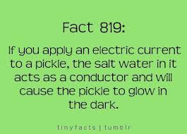 Interesting Thechive Cool Science Facts Stupid Friends Science Facts