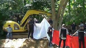 yes44444.com - yes44444.com最全app下载v8.7.6 - 墨迹下载站