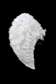 Black And White Wings Background White Angel Wing On Black Background Ad Angel White Wing Background Black Ad White Angel Wings Swan Wings Image