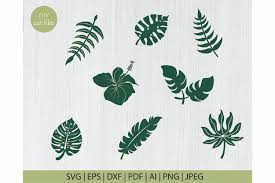Free svg files for cricut design space, silhouette cameo, clipart, scrapbooking and diy projects. Leafs Silhouette Svg Bundle Graphic By Diycuttingfiles Creative Fabrica