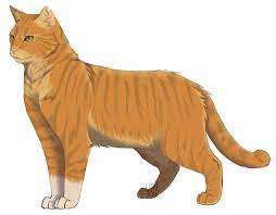 Thunder Star By Lithestep On Deviantart Warrior Cats Warrior Cats Series Warrior Cat