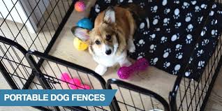 Check spelling or type a new query. 5 Best Portable Dog Fences 2021 Reviews Buyer S Guide