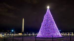 Where Is The National Christmas Tree From 2022 The History Of The National Christmas Tree Explained