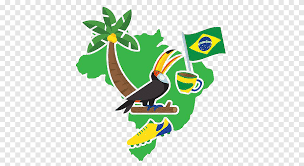 Zeichnen & skizzieren fotografie collage. Rio De Janeiro Flagge Von Brasilien Illustration Coco Die Turnschuhe Der Papageienschalen Markierungsfahne Amerikanische Flagge Tiere Png Pngegg