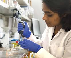 NIH Professional Judgment Budget for Alzheimer's Disease and Related  Dementias for Fiscal Year 2023: Transforming Research T