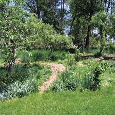 Maybe you would like to learn more about one of these? Plant An Edible Forest Garden Organic Gardening Mother Earth News