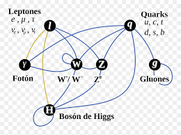 Interacciones Del Modelo Estándar De La Física De Particulas - Standard  Model, HD Png Download - vhv