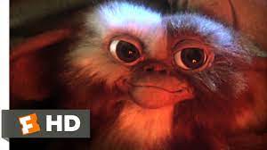 We did not find results for: Gremlins 1 6 Movie Clip Billy Meets Gizmo 1984 Hd Youtube