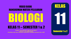 We did not find results for: Biologi Kelas 11 Sma Rangkuman Materi Semester 1 Dan 2 Youtube