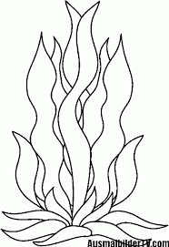 Aquarium jetzt bei hornbach österreich online kaufen. Malvorlage Unterwasserpflanze Coloring And Malvorlagan