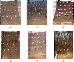 In this ultimate running game, control a neon ball and let it roll down on a randomized slope. Figure 13 Experimental Study On The Effects Of Tree Planting On Slope Stability Springerlink