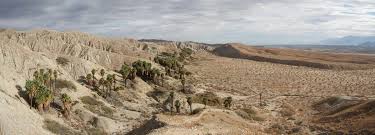 Palm Trees Show The Trace Of The San Andreas Fault Near Palm Springs Southern California The Fault Has Displaced Science And Nature Geology San Andreas Fault