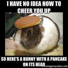 I Have No Idea How To Cheer You Up So Here S A Bu Cheer Up Quotes Funny Cheer Up Quotes Cheer Up Funny