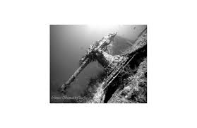 Diving and hotel offers at camel dive, sharm el sheikh. Camel Dive Resort I 7 Nights 5 Days Diving I Sharm El Sheikh I Egypt