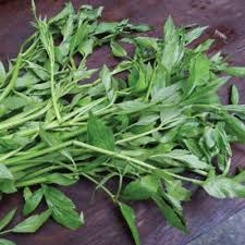 Daun salam biasa dimanfaatkan masyarakat indonesia sebagai penambah cita rasa suatu masakan agar semakin lezat. Petua Amalan Tradisional