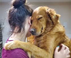 We did not find results for: About Our Animal Hospital In Canton