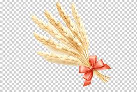 Common Wheat Ear Cereal Wheat Cartoon Cartoon Character Food Happy Birthday Vector Images Png Klipartz Pikbest has 411 wheat field cartoon design images templates for free. common wheat ear cereal wheat cartoon