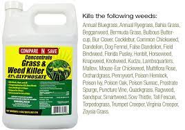 Otherwise, the same weeds will regrow. What Kills Weeds Permanently Practical Advice Tips