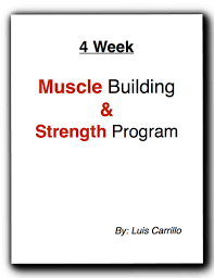 4 week workout plan to build muscle