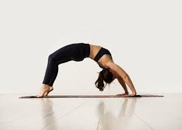 Check spelling or type a new query. The Yoga Lounge
