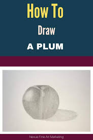 How to draw a plum step by step. How To Draw A Plum Drawings Sell Art Prints Still Life Drawing
