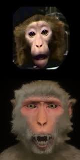Markerless Macaque Face Reconstruction Using Synthetic Data