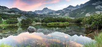 Bildergebnis für Muntean