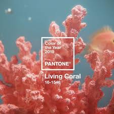 Produkte, die bewusstsein schaffen und dein herz höher schlagen lassen. Pantone Kurt Neuen Trend Farbton Living Coral Ist Pantone Farbe Des Jahres 2019