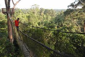 May 30, 2021 · jelajah ladaya ladang budaya kutai kartanegara #ladaya #tenggarong #kukar. Wisata Murah Meriah Di Ibu Kota Baru Tak Lebih Rp25 000 Real Jeda Id