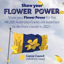 Aged care information and referral service. Cancer Council Western Australia Home Facebook