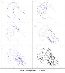 Jellyfish drawing stock photos jellyfish drawing stock images alamy. How To Draw A Lion S Mane Jellyfish Printable Step By Step Drawing Sheet Drawingtutorials101 Com