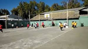 Los juegos y deportes alternativos fueron integrados en el currículo de educación física como reacción al modelo deportivo imperante, basado en el rendimiento. Educacion Fisica Carreras Con Pelotas De Tenis Youtube