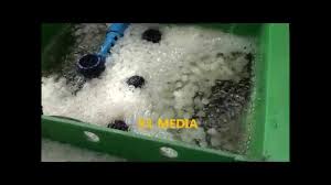 Moving Bed Bio Filtration Mbbf Diy Aquaponics Philippines Youtube