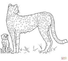 We found for you 15 pictures from the collection of giraffe coloring mommy baby animal! Mom And Baby Animal Coloring Pages Novocom Top