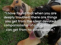Quotes That Prove Dogs Are Man S Best Friend 25 Photos Best Friend Quotes Dog Quotes Friends Quotes