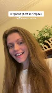 was not expecting that 😢 we were gonna have shrimp babies :(#ghostshrimp  #ghostshrimppregnancy #aquarium #shooketh