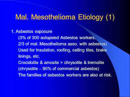 Age is a risk factor for mesothelioma, with most people developing the disease later in life, but the major risk factor for this type of cancer . Malignant Peritoneal Mesothelioma With Lung Metastasis Ppt Download