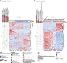 Image result for bioinformatics heatmap