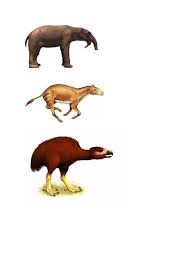 Amalan bahasa melayu binatang zaman air batu gambar nama ciri ciri. Haiwan Zaman Air Batu