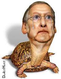 Post Turtles