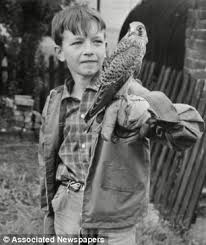 Sign in to make your opinion count. Springwatch Star Chris Packham Reveals His Love For Wildlife Was Sparked After He Took A Kestrel Chick From Its Nest Daily Mail Online