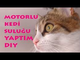 El Yapimi Kedi Sulugu Cok Ucuz Ve Cok Kolay Youtube