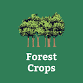 Forest Crops: Lumber, craft material, food...