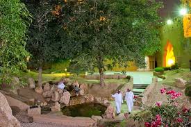 Contacts of companies in saudi arabia. Saudi Vision 2030 To Plant 7 5 Million Trees In Riyadh About Her